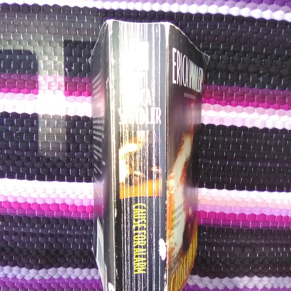 💥JUST IN!💥ERICA SPINDLER...2 PAPERBACK NOVELS~ CRIME/ DETECTIVE/THRILLER - Picture 3 of 10